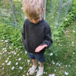 Hanstholm Sweater Junior - fysisk opskrift