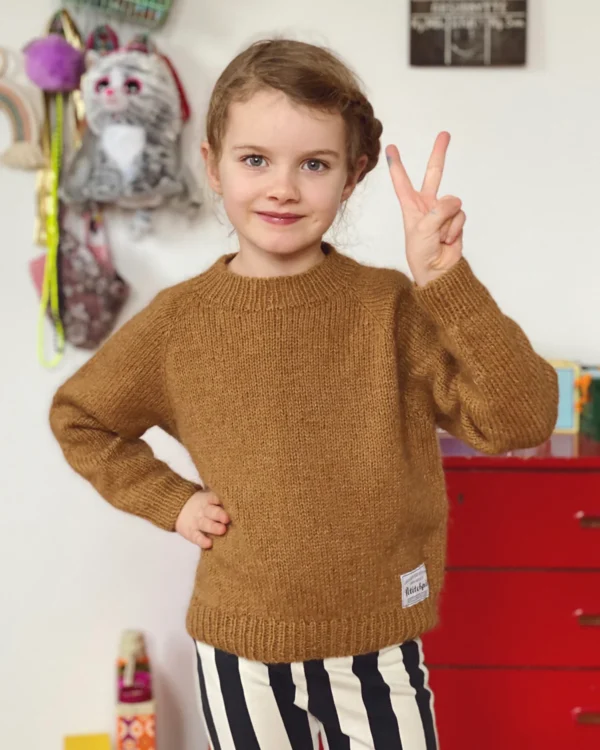 Ingen Dikkedarer Sweater Junior - fysisk opskrift